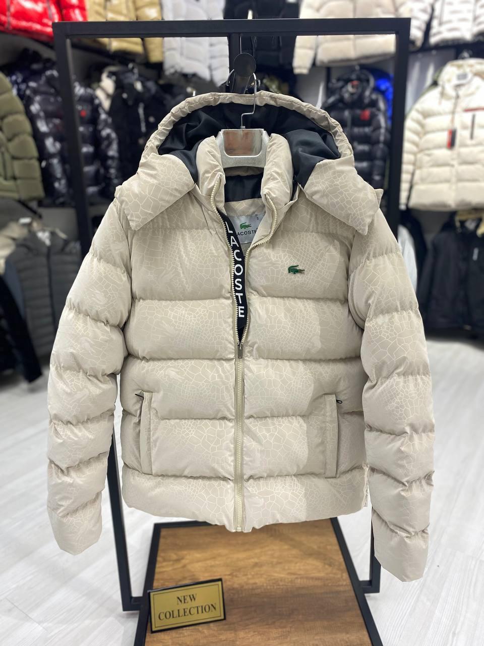 LACOSTE : JACKET  • REBELS PRIVE'