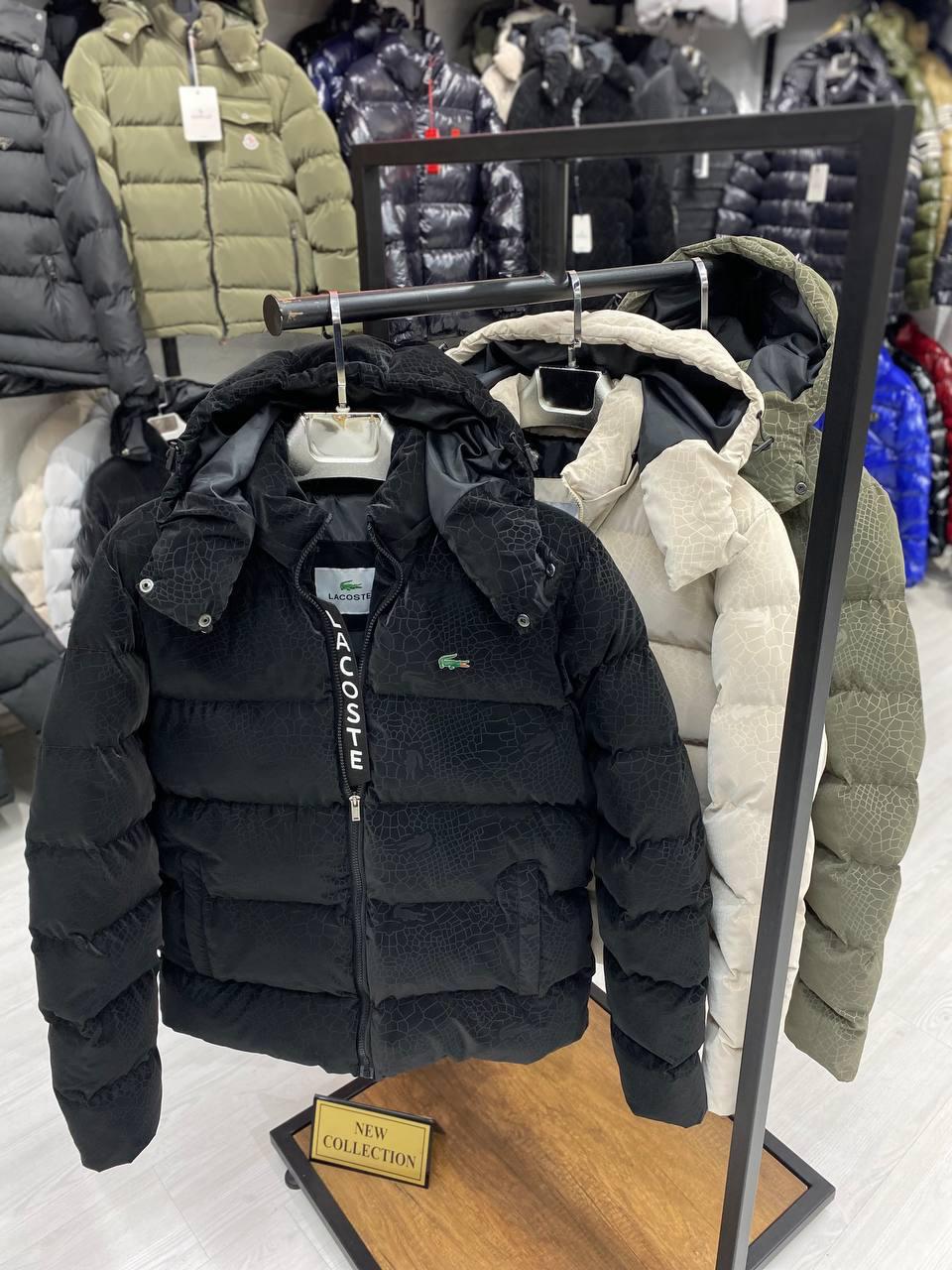 LACOSTE : JACKET  • REBELS PRIVE'