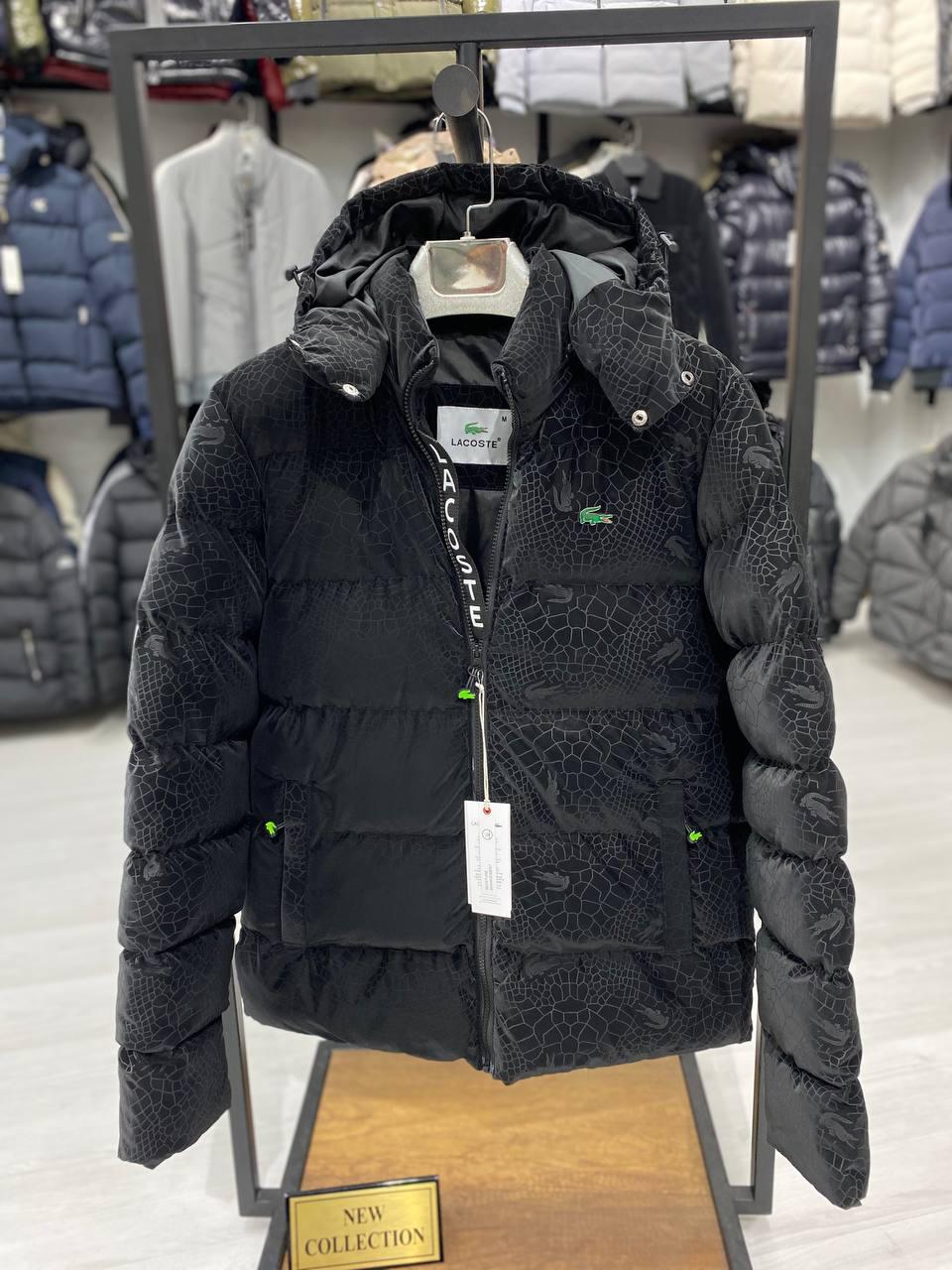 LACOSTE : JACKET  • REBELS PRIVE'